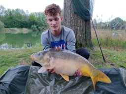 Competities HSV Alfheim